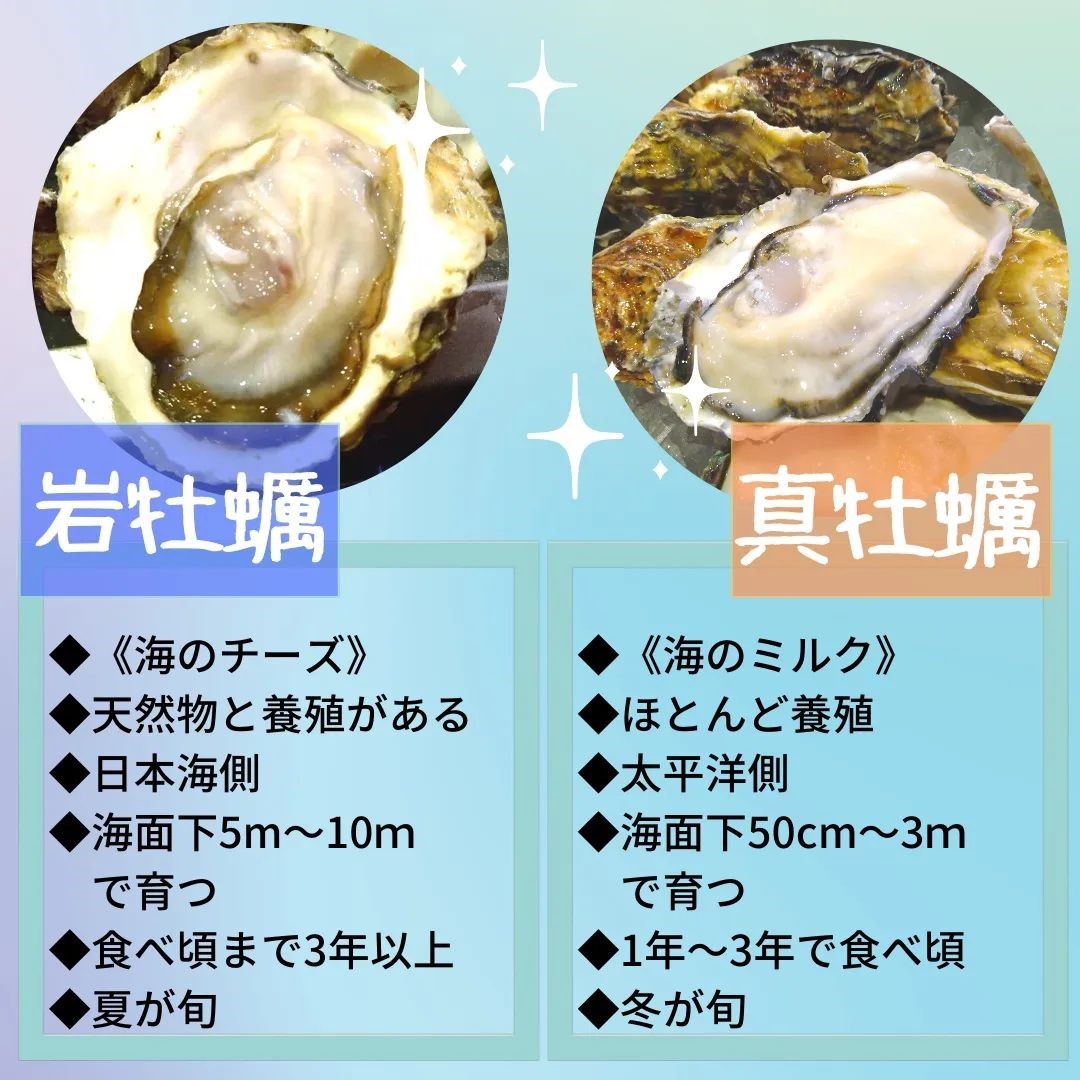 岩牡蠣と真牡蠣 何が違うの？